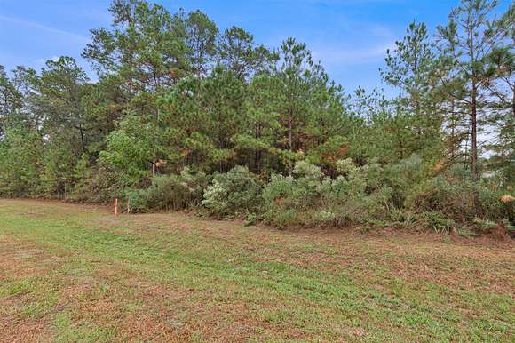 Residential Land for Sale in Conroe, Texas