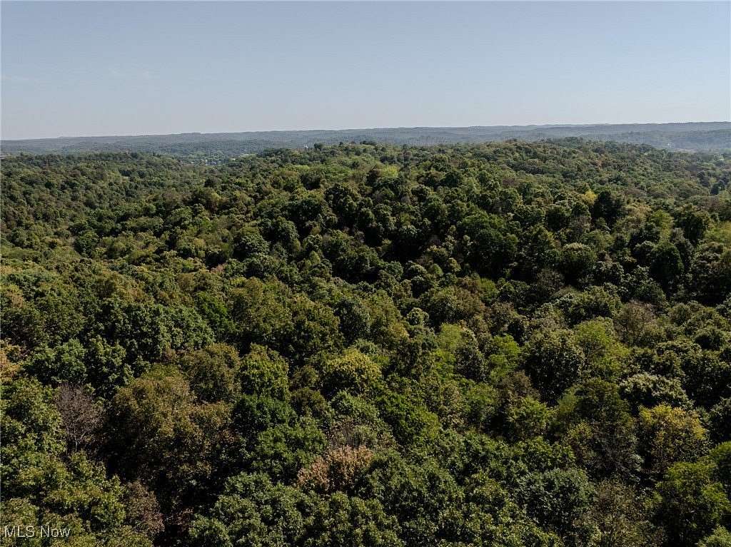 85 Acres of Recreational Land for Auction in Reedsville, Ohio