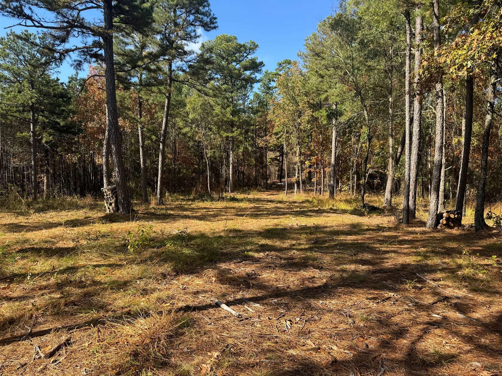 40 Acres of Recreational Land for Sale in Hon, Arkansas