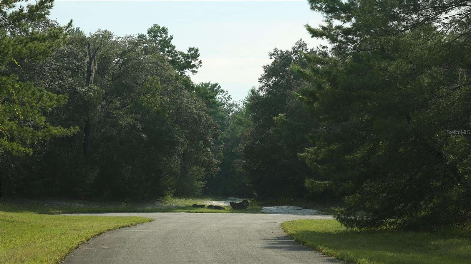 1 Acre of Residential Land for Sale in Ocala, Florida