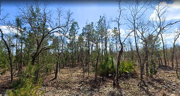 0.11 Acres of Land for Sale in Interlachen, Florida