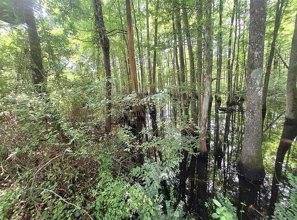 6.11 Acres of Land for Sale in Summit, Mississippi