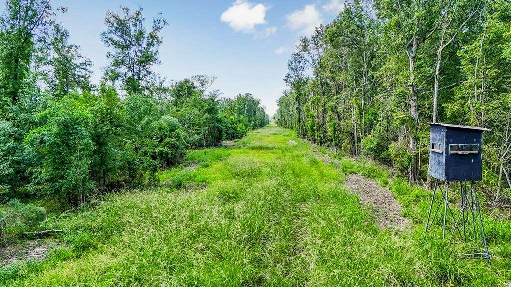 196.5 Acres of Recreational Land & Farm for Sale in Erwinville, Louisiana