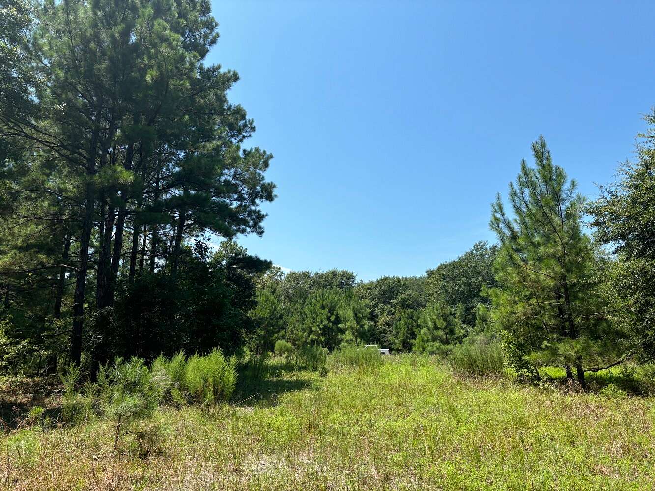 10.08 Acres of Land for Sale in St. Stephen, South Carolina