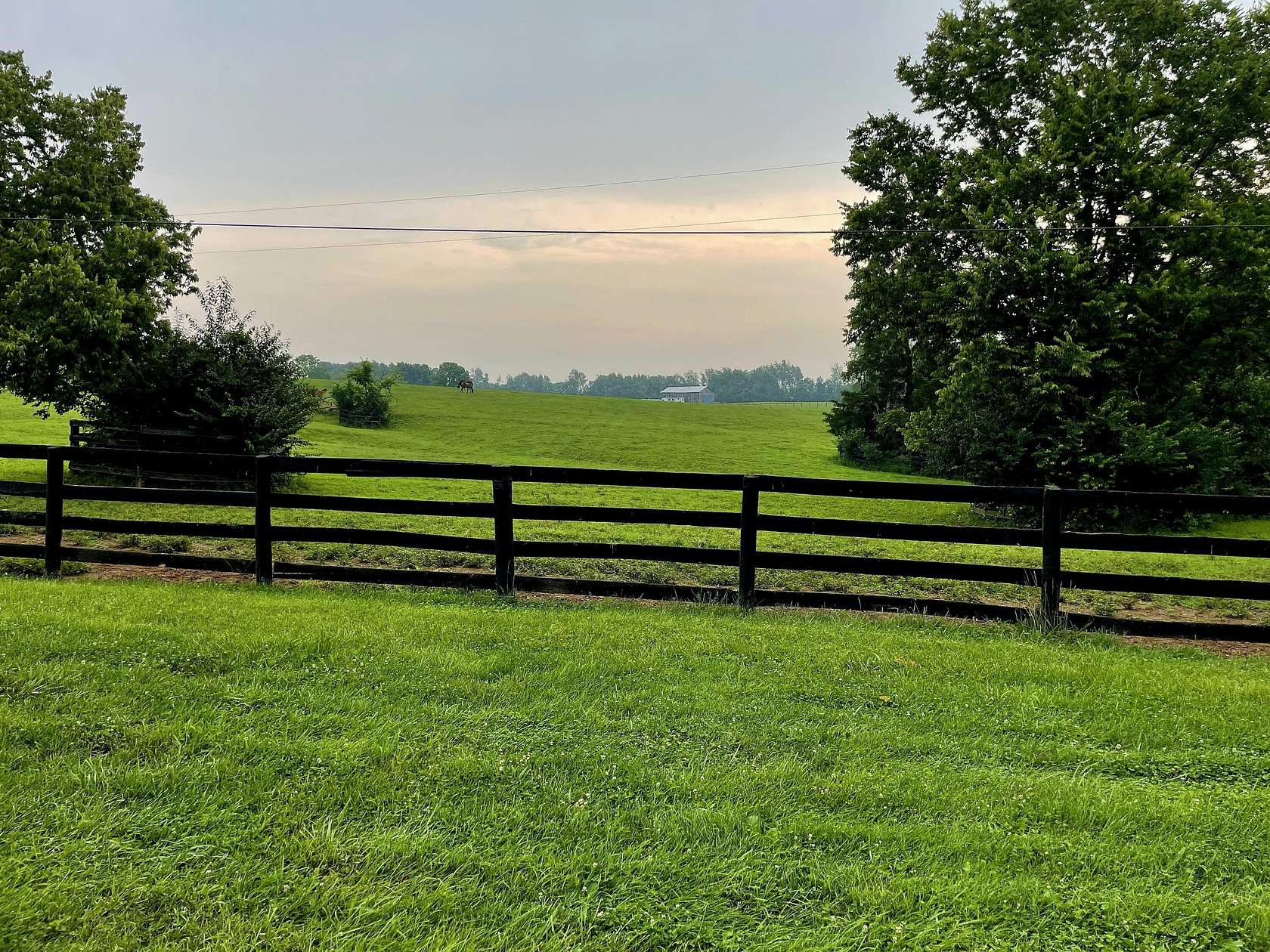 54 Acres of Agricultural Land with Home for Sale in Versailles, Kentucky