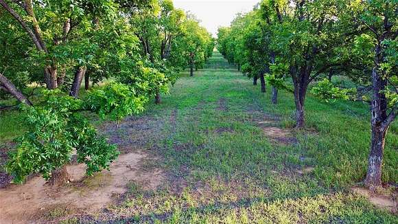 25.61 Acres of Agricultural Land for Sale in Comanche, Texas