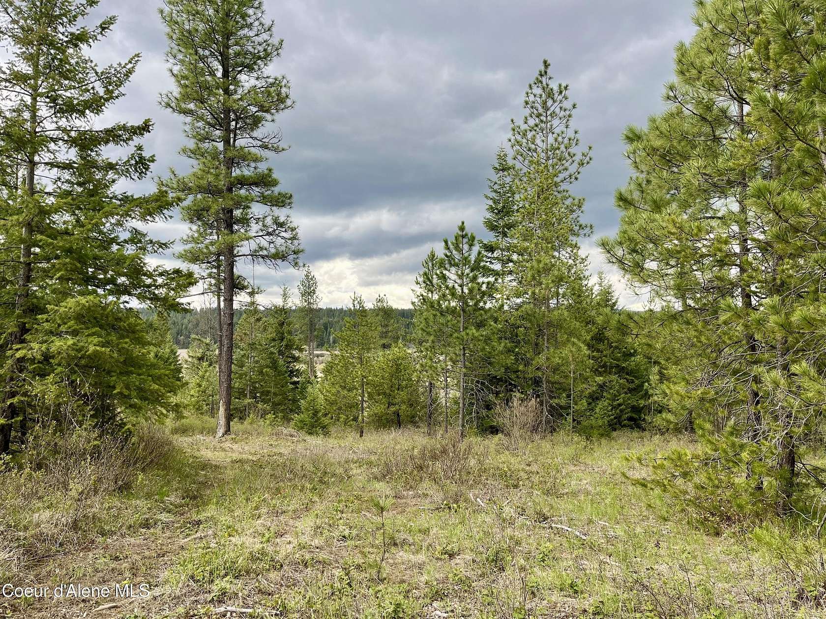 12.4 Acres of Recreational Land for Sale in Athol, Idaho