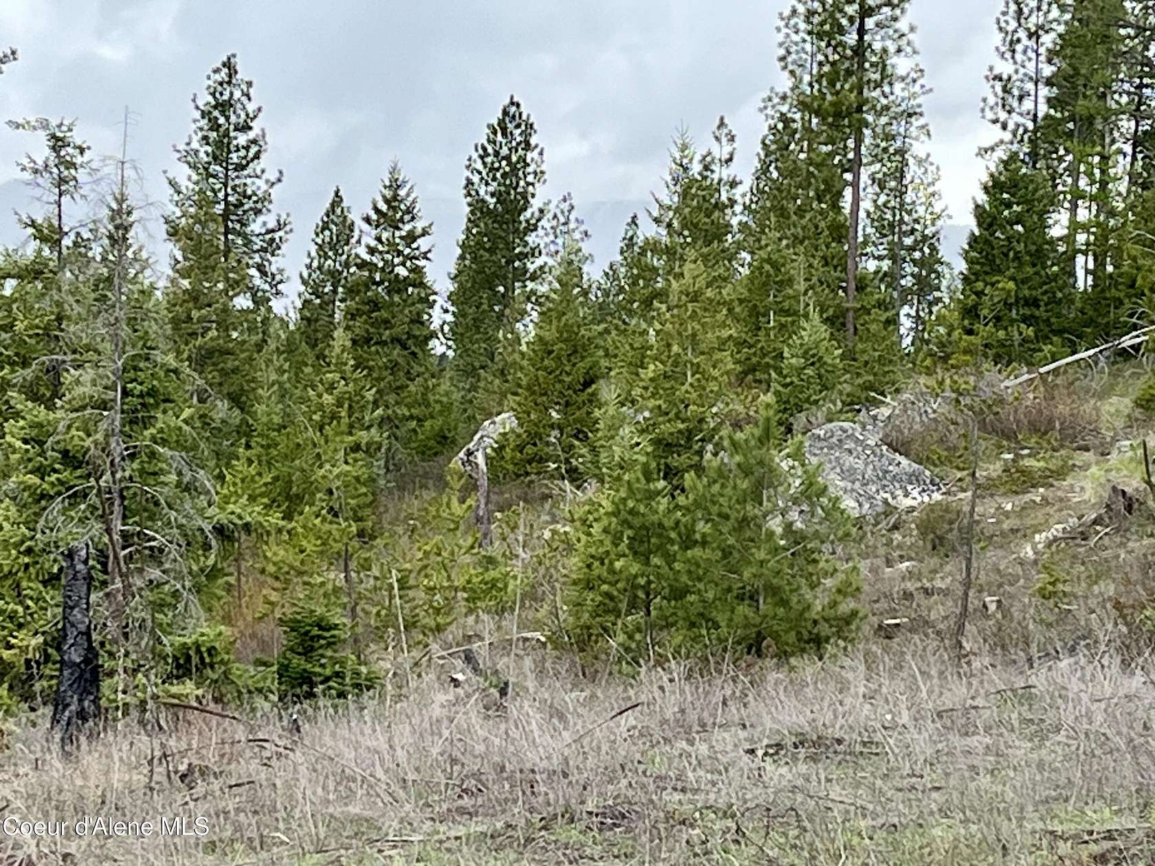 12.4 Acres of Recreational Land for Sale in Athol, Idaho