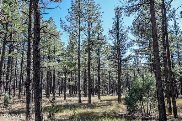 10.72 Acres of Land for Sale in Lakeside, Arizona