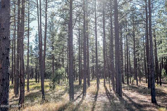 10.72 Acres of Land for Sale in Lakeside, Arizona