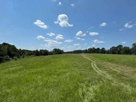 94 Acres of Recreational Land & Farm for Sale in Crystal Springs, Mississippi