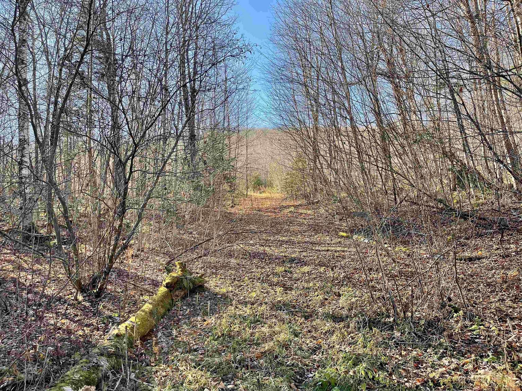 10.1 Acres of Recreational Land for Sale in Peacham, Vermont