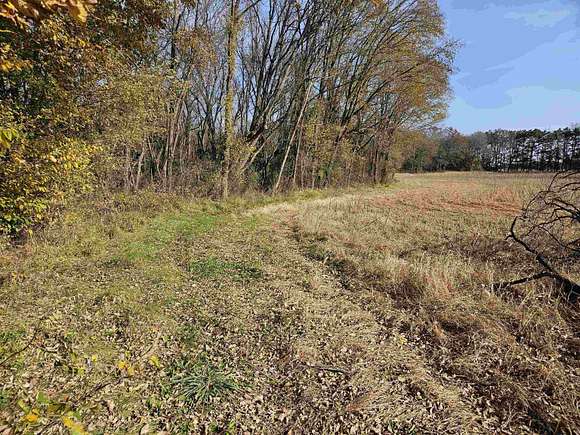 39.95 Acres of Land for Auction in Arena, Wisconsin