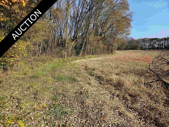 39.95 Acres of Land for Auction in Arena, Wisconsin