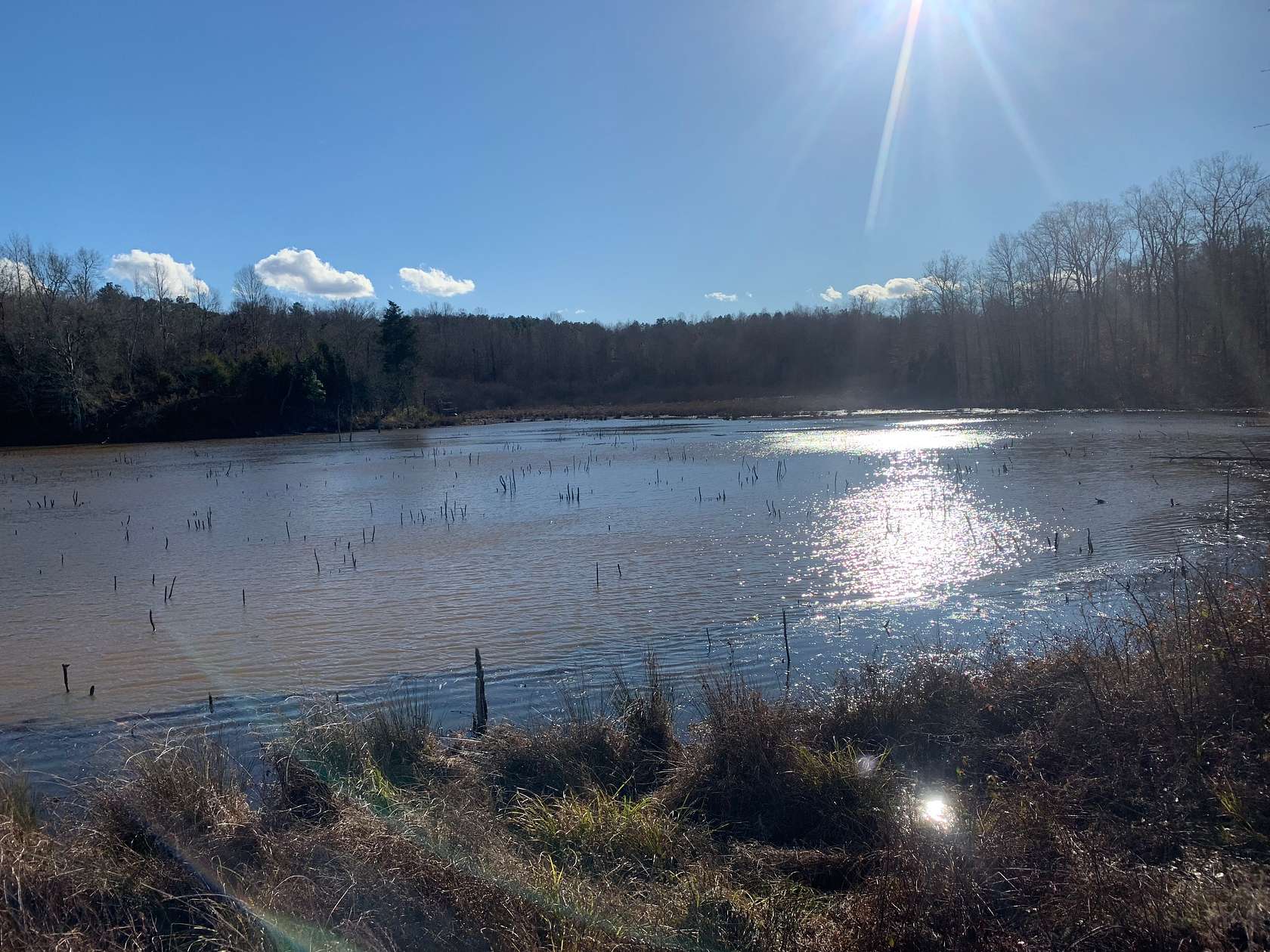 153 Acres of Land for Sale in Elberton, Georgia