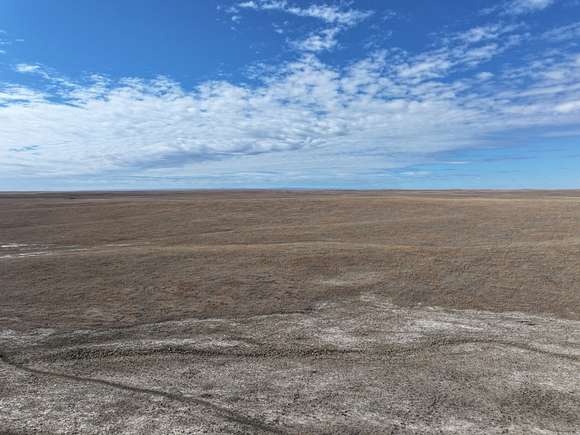 169.4 Acres of Agricultural Land for Auction in Newell, South Dakota