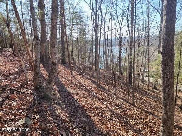 0.53 Acres of Residential Land for Sale in La Follette, Tennessee