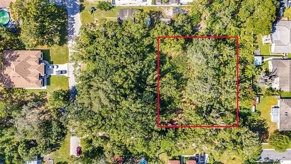 0.38 Acres of Residential Land for Sale in Tampa, Florida