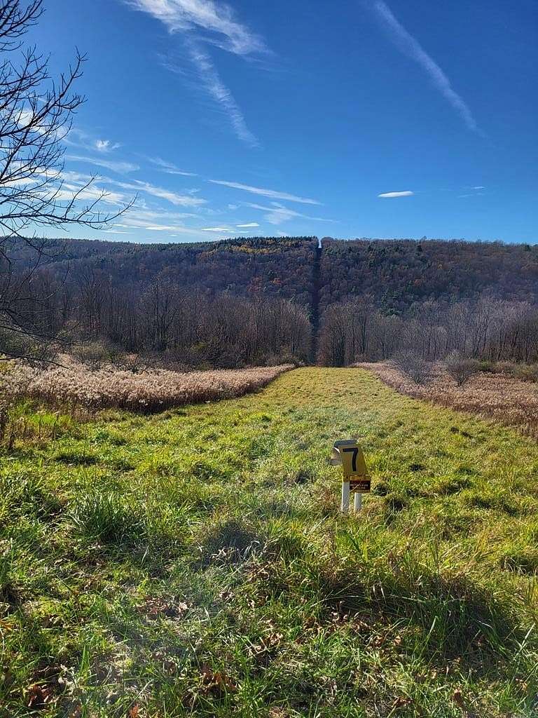 34 Acres of Recreational Land & Farm for Sale in Odessa, New York