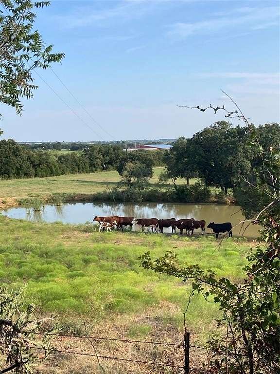 93.284 Acres of Agricultural Land for Sale in Millsap, Texas