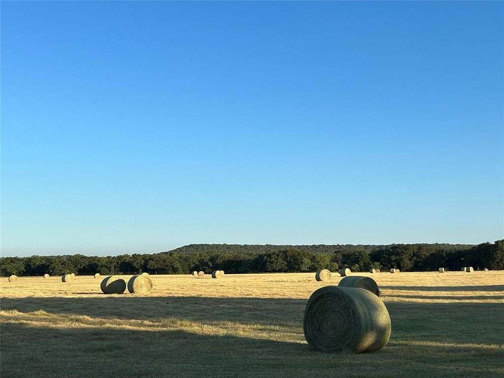 93.284 Acres of Agricultural Land for Sale in Millsap, Texas