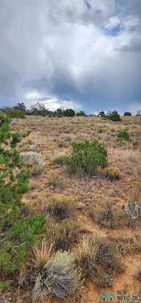 5 Acres of Land for Sale in McGaffey, New Mexico