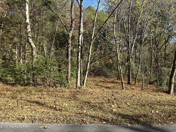 0.34 Acres of Residential Land for Sale in Loudon, Tennessee