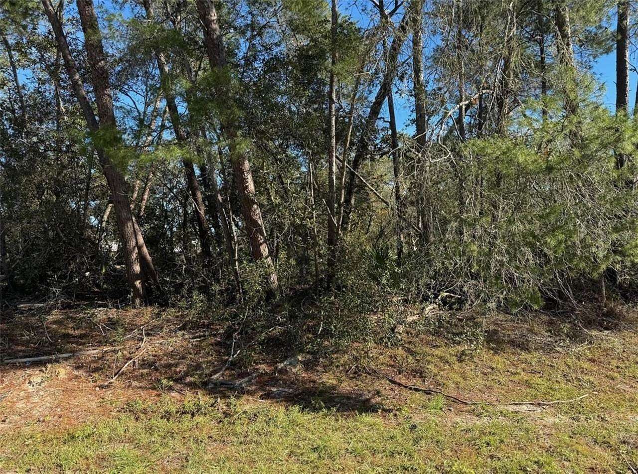 0.5 Acres of Residential Land for Sale in Ocala, Florida