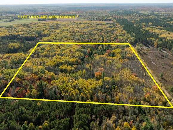 38 Acres of Recreational Land for Sale in Paris, Michigan