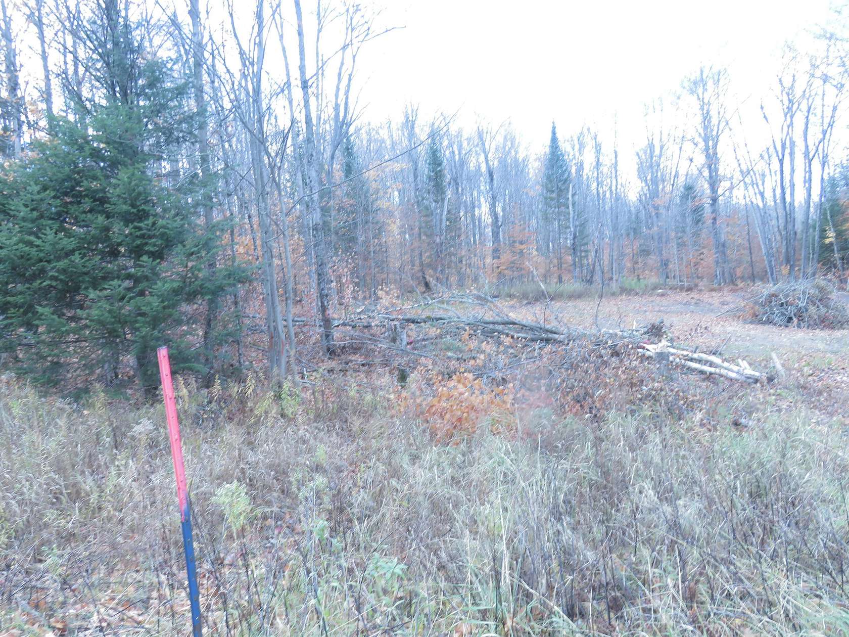 10 Acres of Recreational Land for Sale in Hulbert, Michigan