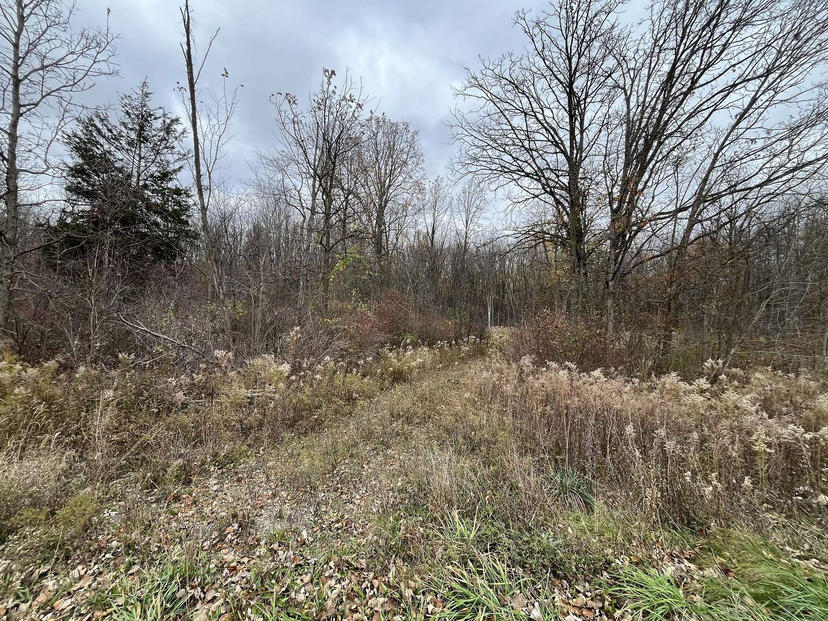 9.88 Acres of Residential Land for Sale in Climax, Michigan