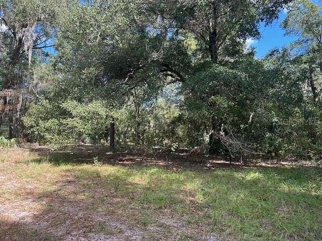 34 Acres of Land for Sale in Seville, Florida