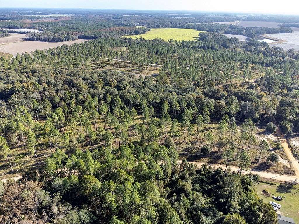 165 Acres of Recreational Land for Sale in Sylvester, Georgia