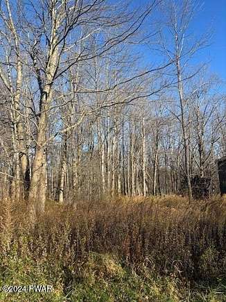 0.34 Acres of Residential Land for Sale in Lake Ariel, Pennsylvania