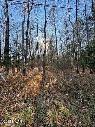 0.44 Acres of Residential Land for Sale in Lake Ariel, Pennsylvania