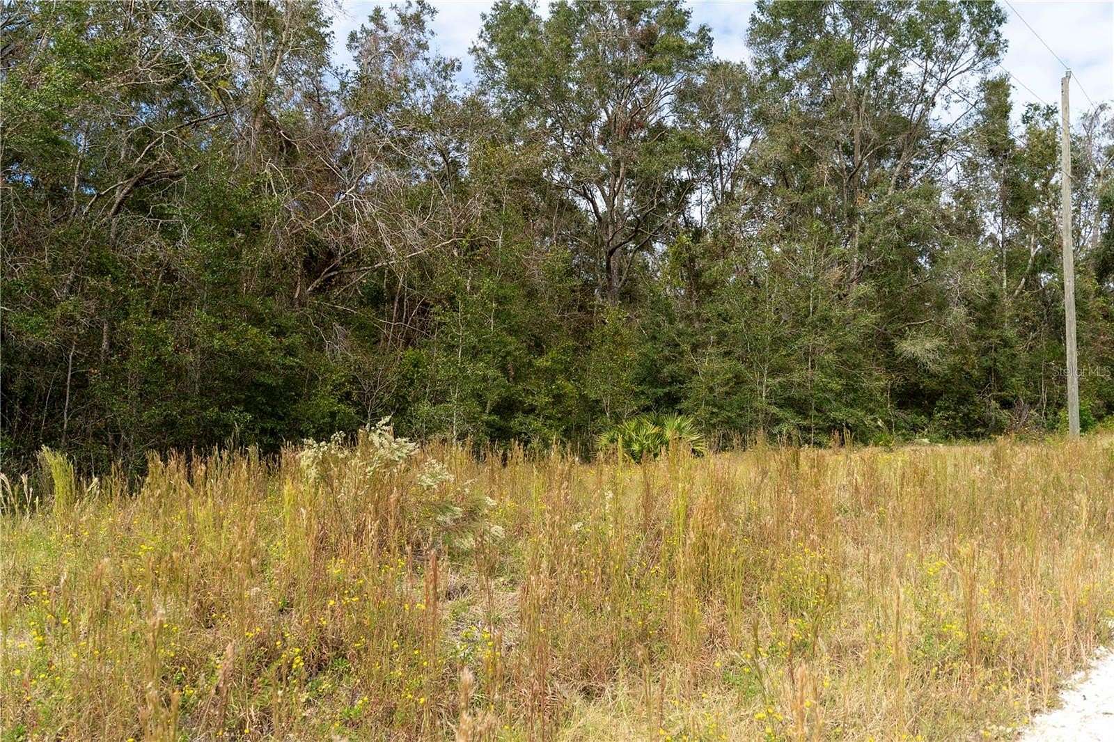 2.5 Acres of Residential Land for Sale in Old Town, Florida