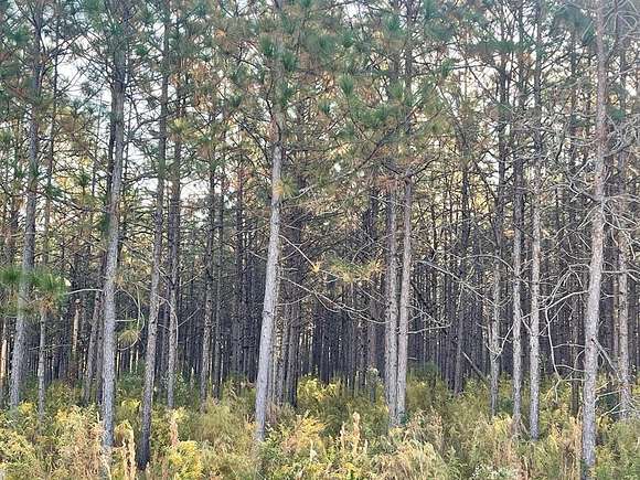 16.18 Acres of Land for Sale in Brookhaven, Mississippi