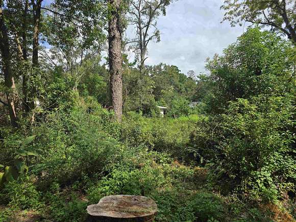 0.19 Acres of Residential Land for Sale in Tallahassee, Florida