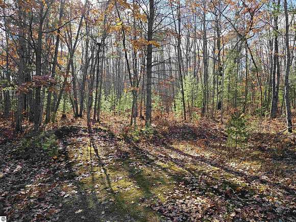 5.2 Acres of Residential Land for Sale in Kalkaska, Michigan