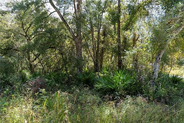 0.23 Acres of Residential Land for Sale in Old Town, Florida