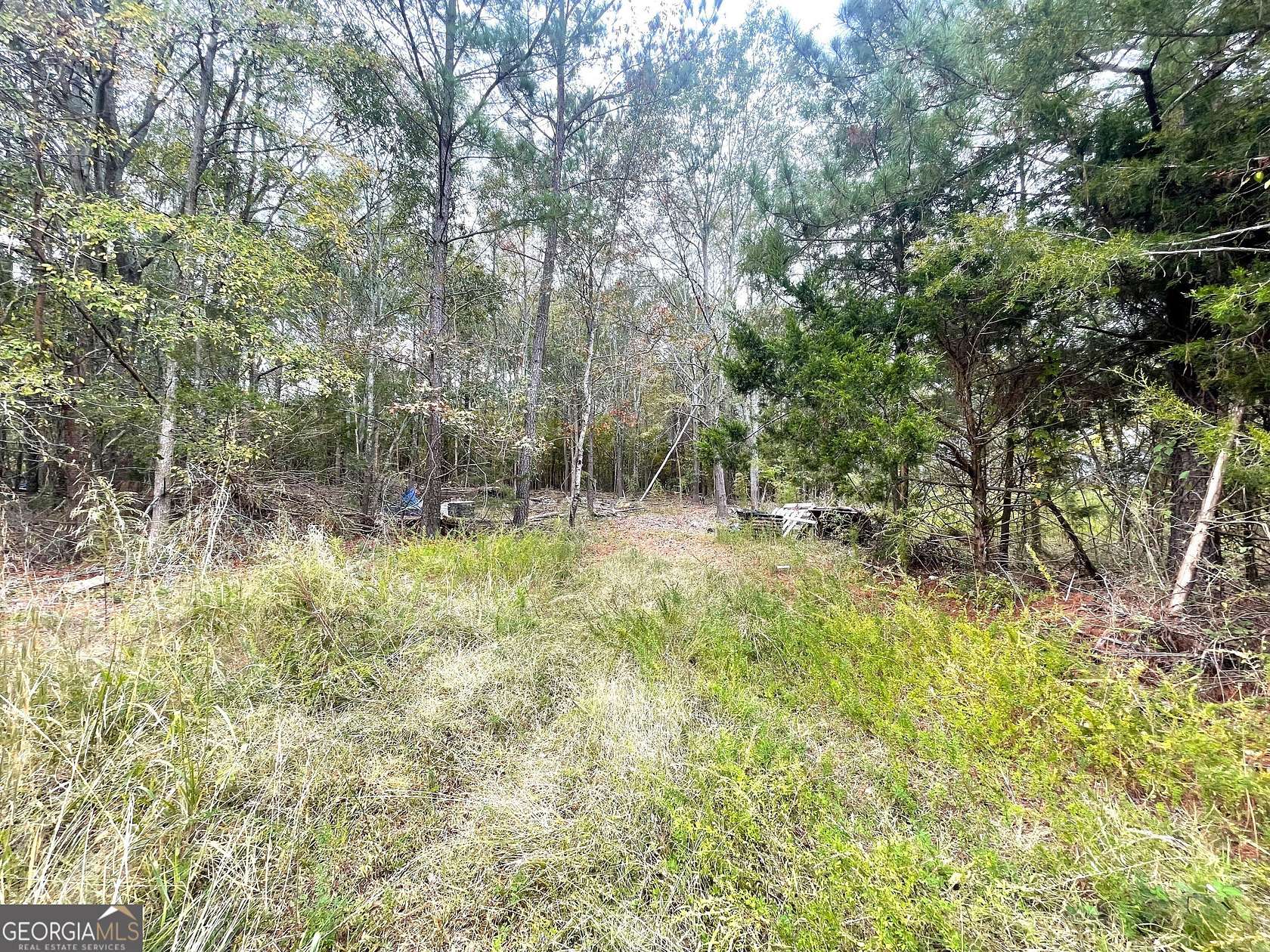 1.03 Acres of Residential Land for Sale in Carlton, Georgia