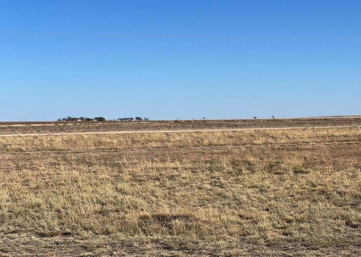 10 Acres of Residential Land for Sale in Levelland, Texas