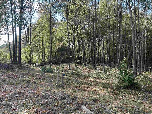 0.95 Acres of Residential Land for Sale in Bradford, Arkansas