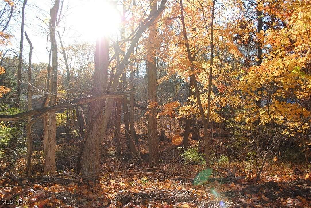 0.65 Acres of Residential Land for Sale in Strongsville, Ohio