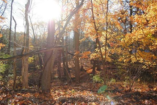 0.65 Acres of Residential Land for Sale in Strongsville, Ohio