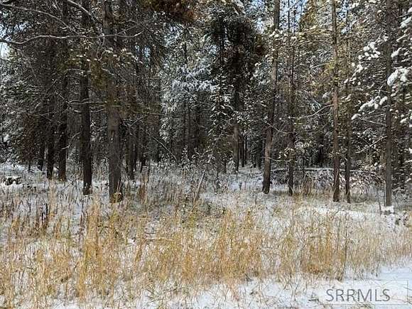 0.85 Acres of Land for Sale in Island Park, Idaho