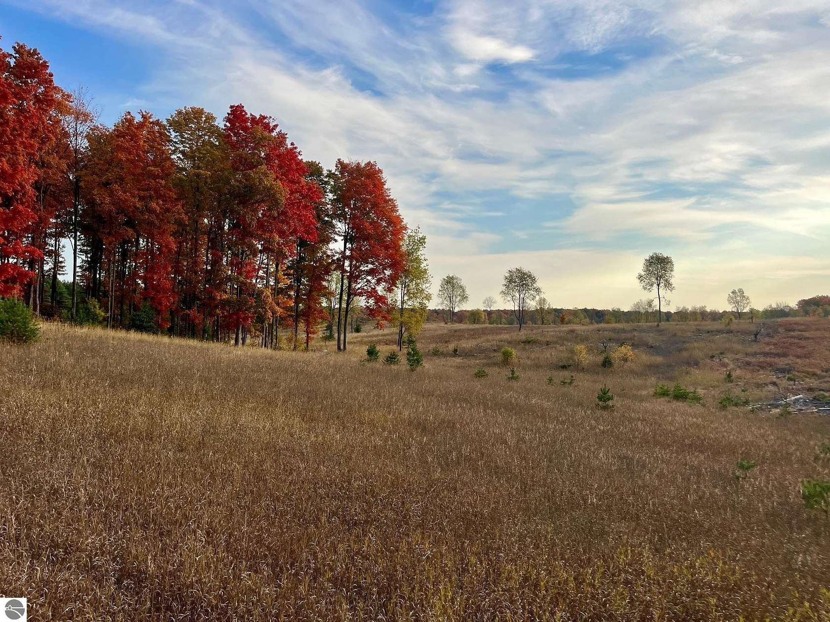 8.22 Acres of Residential Land for Sale in Maple City, Michigan