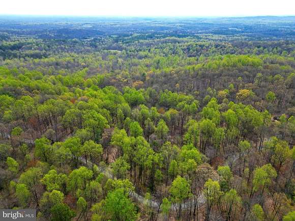 25.17 Acres of Recreational Land for Sale in Castleton, Virginia