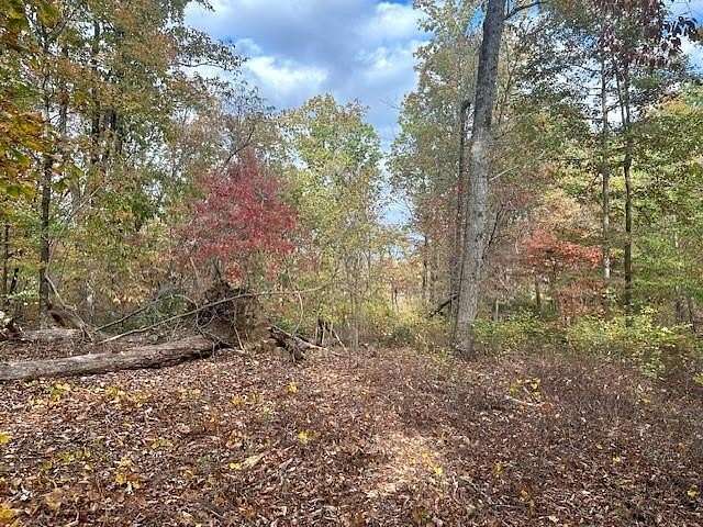 10.78 Acres of Land for Sale in Murrayville, Georgia