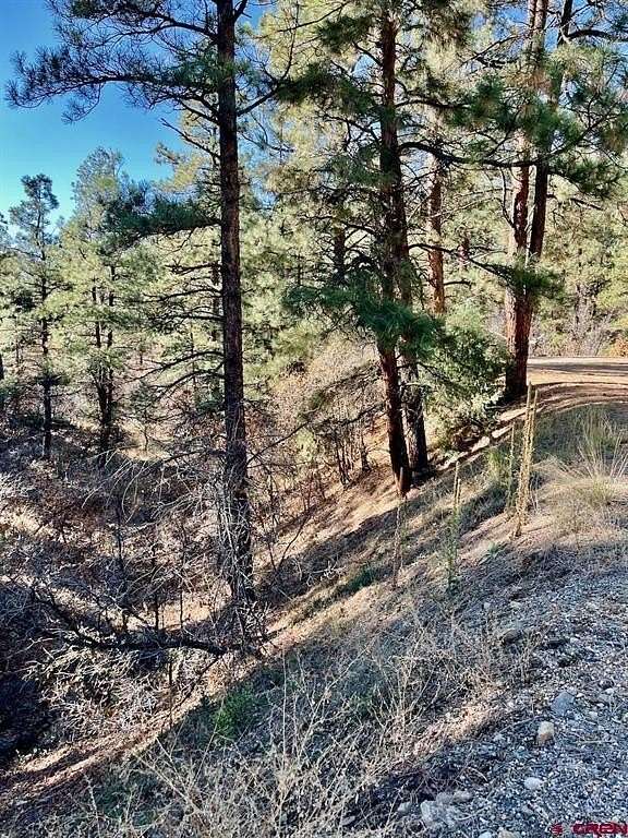 4.8 Acres of Residential Land for Sale in Durango, Colorado